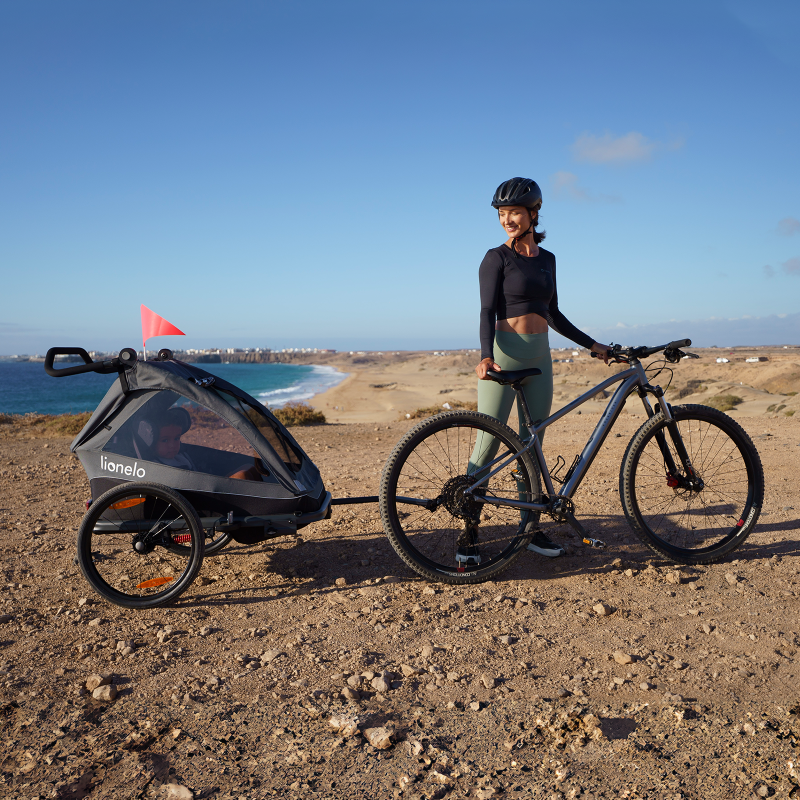 Lionelo Cama Grey Stone — príves na bicykel s funkciou kočíka